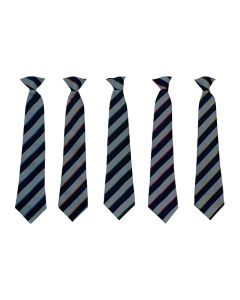 Tadcaster Grammar School Clip On House Tie